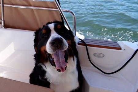 On board with Titan