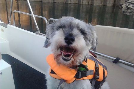 Max