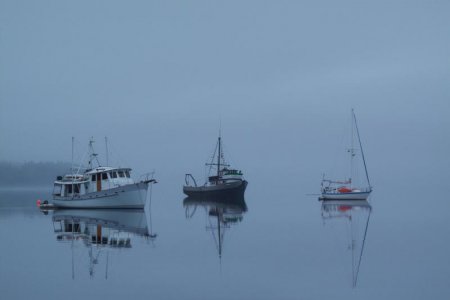 IMG_3704
