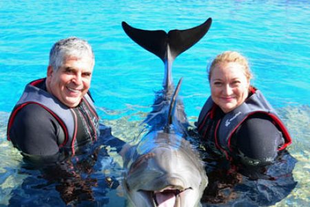 dolphin2sm