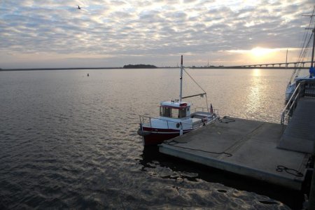 Tug 036