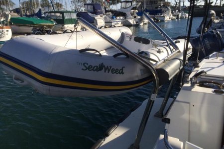 Media 'IMG_0170' in album 'Sea Weed'