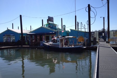 Puffin Cafe