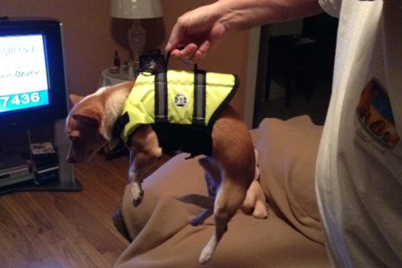 Monty in PFD