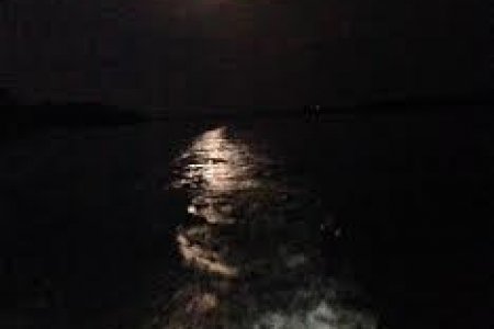 moonbeam running