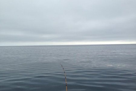 knock out day on the water