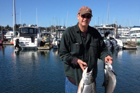 SALMON2