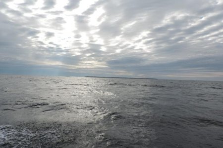 DSCN1714
