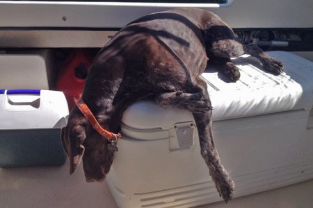 End of a Hard Day