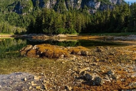 Low Tide-2
