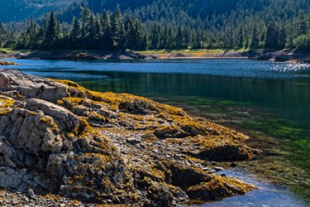 Cedar Bay