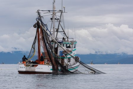 Purse seiner