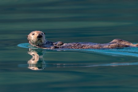 _DSC1227