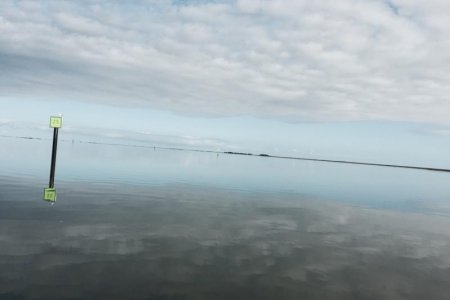IMG_0381