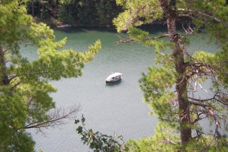 IMGP0461