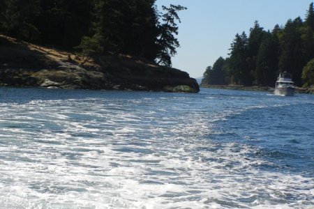 Dodd Narrows closeup