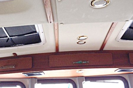 Enclosed storage above helm