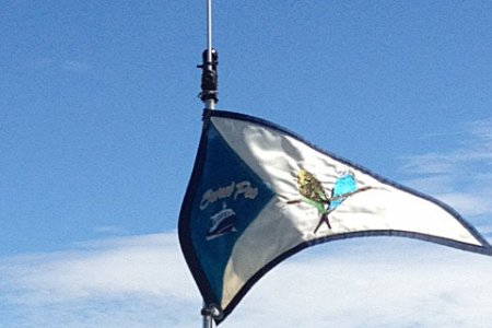Wind vane