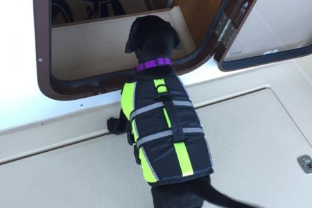 2 My new boat!