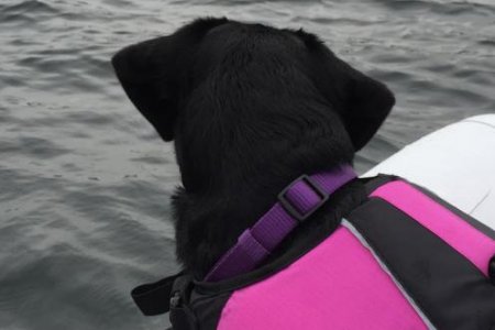 5 Dingy ride!