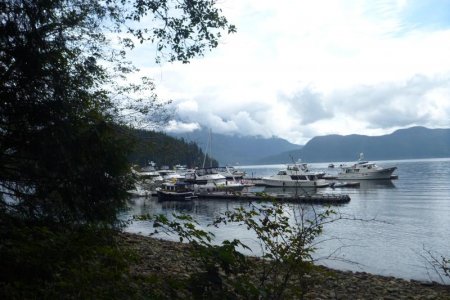 N.W. trip Wildernest Desolation sound near Toba Inlet