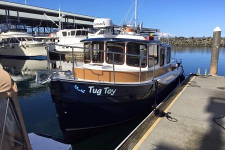 TugToyComesHome