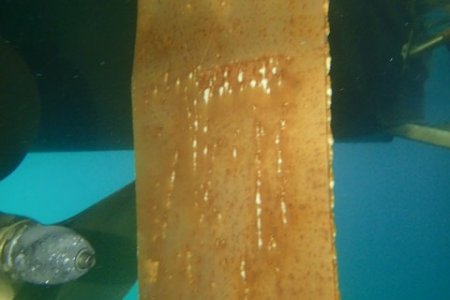 TugToyRudderRust (3)