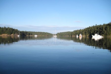 IMG_8266