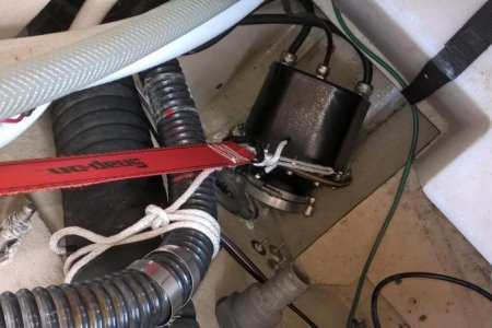 motor on webbing