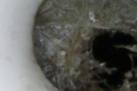 Endoscope view of partially blocked starboard weep hole drain. 1 foot in.
