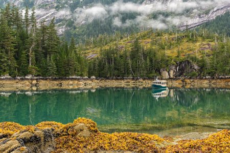 Isolated Anchorage