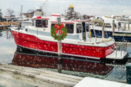 Chessie xmas 17
