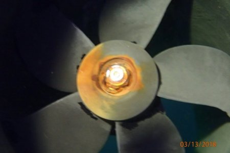 P3137788