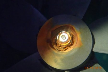 P3137789