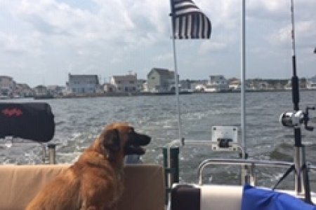 Capt. Ellie