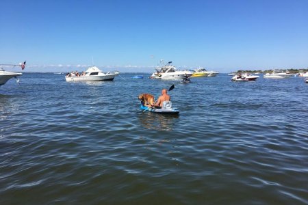 IMG_1255