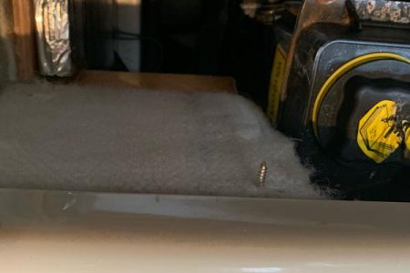 second screw