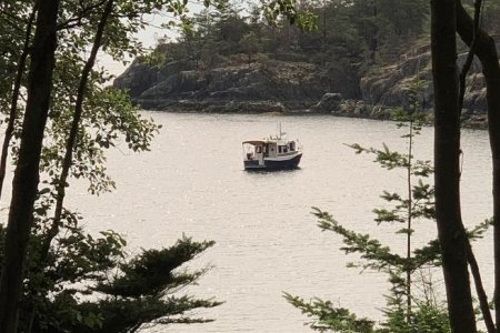 Boat skinny bay