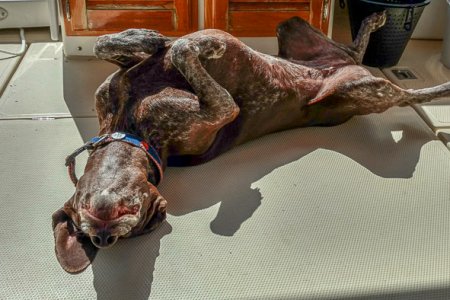 Grace Sunning