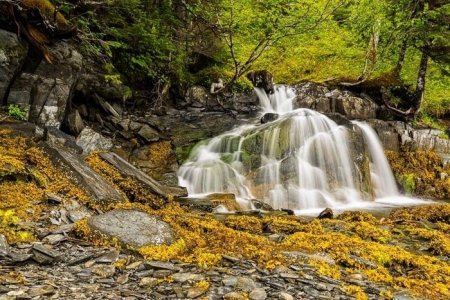 Tidewater waterfall
