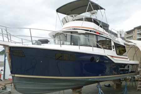 Livingston R 41