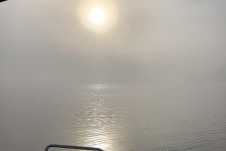 Woke up to heavy fog Barkley Lake