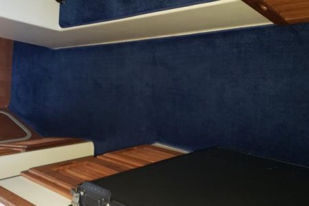 carpet2