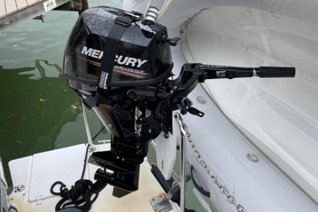 9.9 in rest position, attached to Simple System Marine mount