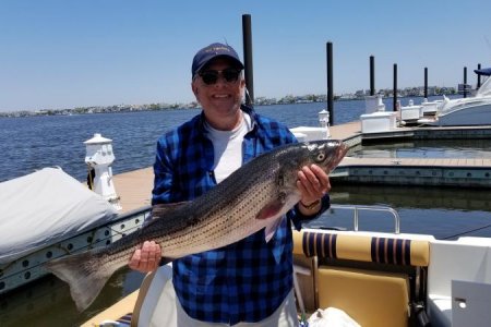 2021 striper 36 inches