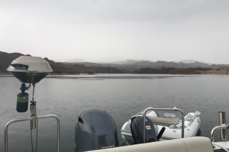 Desert Rain