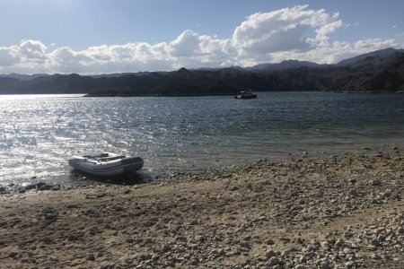 Plenty of Coves