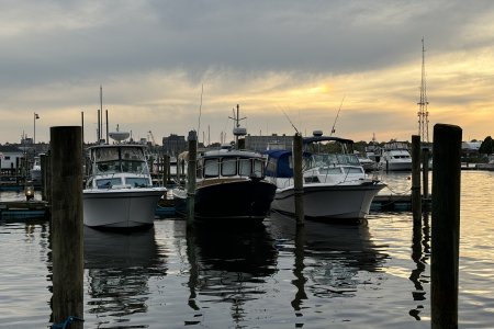 IMG_4337.jpeg