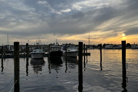 IMG_4336.jpeg