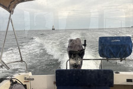 IMG_4335.jpeg